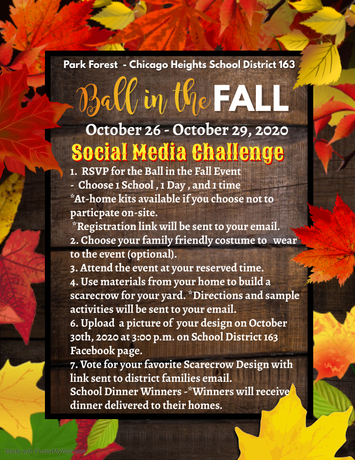 Ball in the Fall Social Media Challenge