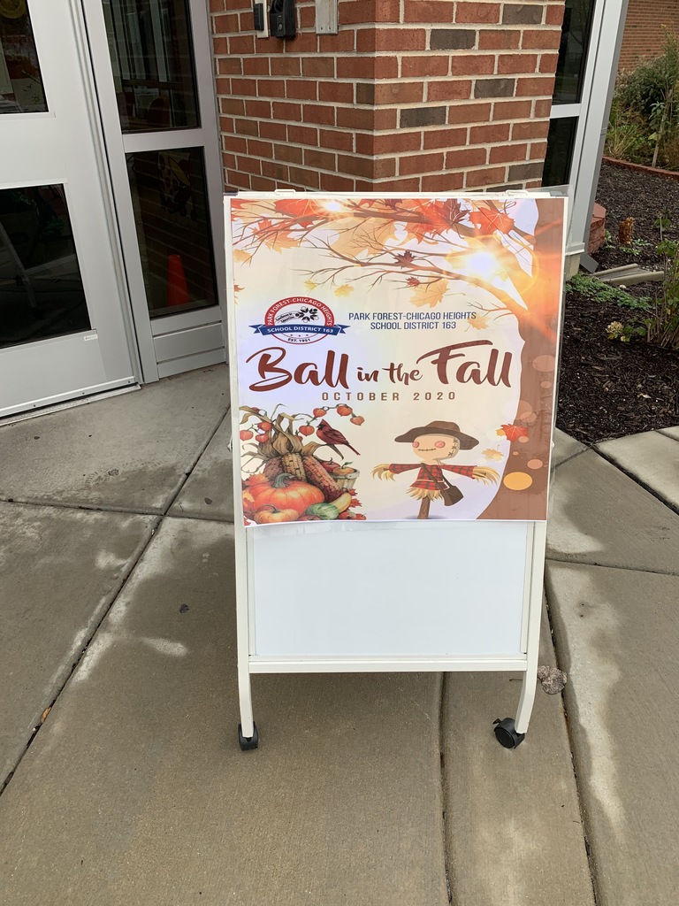 Ball in the Fall!!