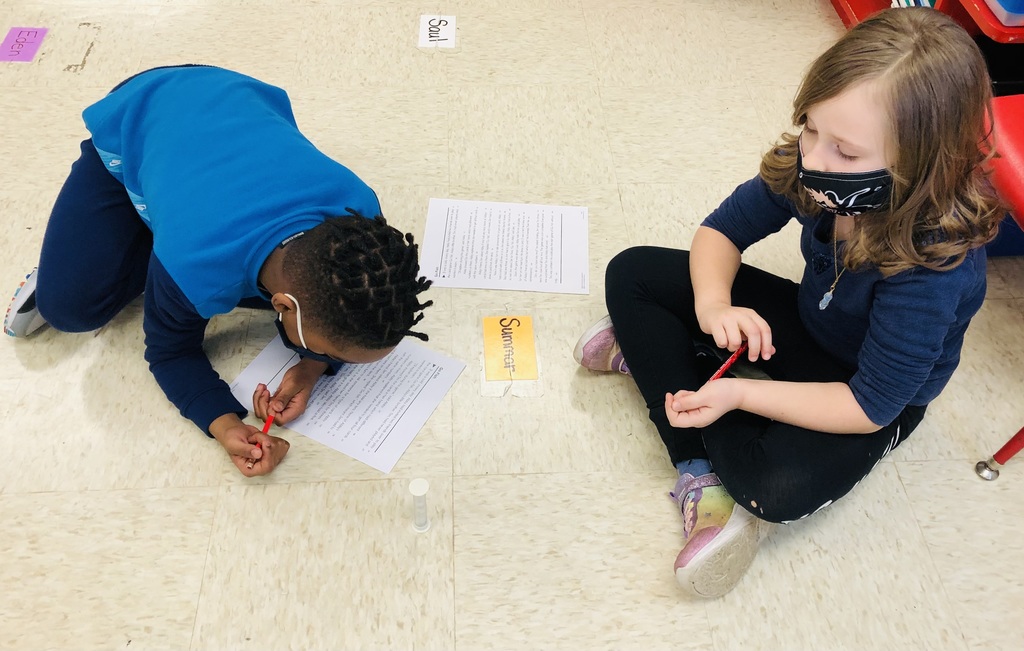 1st Grade Ansburg- Fluency